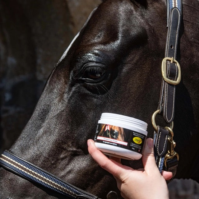 Smart Grooming Accentueer Gloss