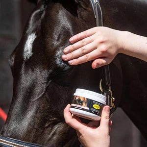 Smart Grooming Accentueer Gloss