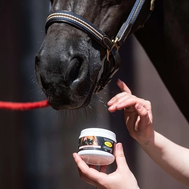 Smart Grooming Accentueer Gloss