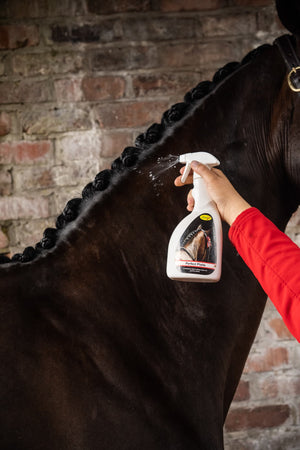 Smart Grooming Perfecte Vlechten Spray