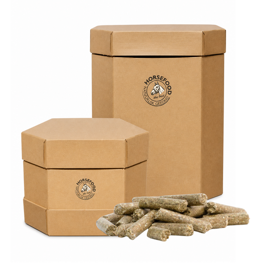 Horsefood Basis-Sportbrok (Big-Box)