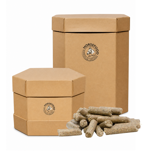 Horsefood All-round Paardenbrok (Big-Box)