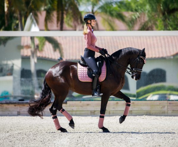 Equito Base Layer - Pink Lemonade - Horse Musthaves