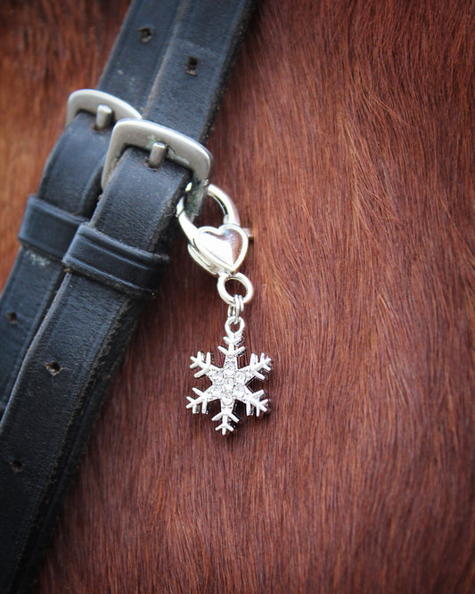 Hoofdstel Bedel - Frosty Crystal