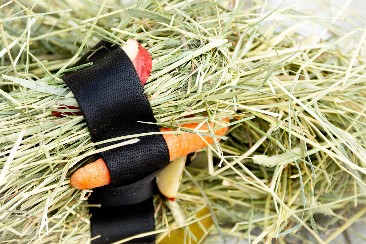 Heica Tuck’n’Treat