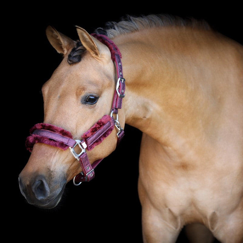 SD® HOLLYWOOD GLAMOROUS Halster - Raspberry Shimmer - Horse Musthaves