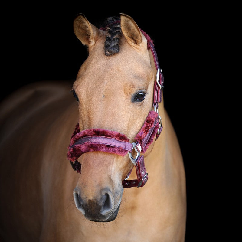 SD® HOLLYWOOD GLAMOROUS Halster - Raspberry Shimmer - Horse Musthaves