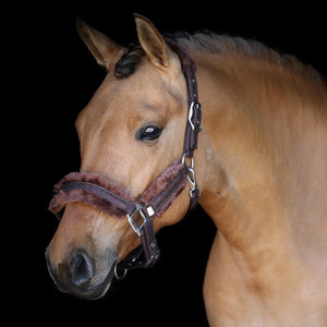 SD® HOLLYWOOD GLAMOROUS Halster - Dazzling Chocolate - Horse Musthaves