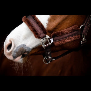 SD® HOLLYWOOD GLAMOROUS Halster - Dazzling Chocolate - Horse Musthaves