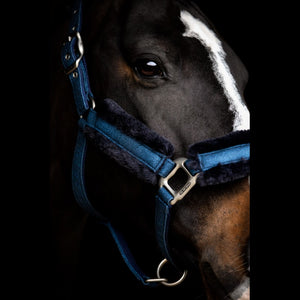 SD® HOLLYWOOD GLAMOROUS Halster - Blueberry Twinkles - Horse Musthaves