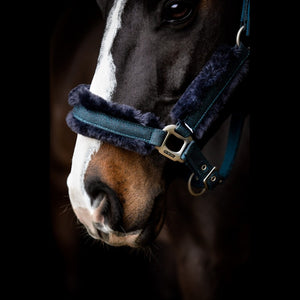 SD® HOLLYWOOD GLAMOROUS Halster - Blue Lagoon Glitter - Horse Musthaves