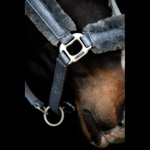 SD® HOLLYWOOD GLAMOROUS Halster - Dark Shadow Glitz - Horse Musthaves
