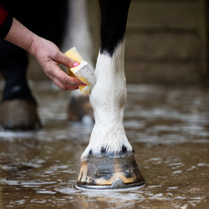 Smart Grooming Whitening Poeder