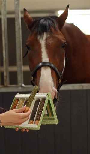Candy Horse Kruiden Sticks