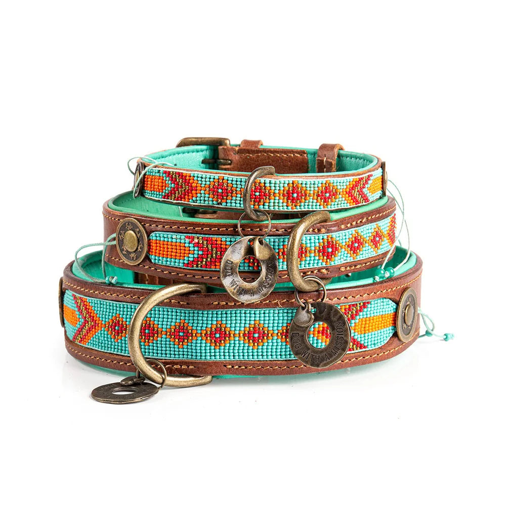 DWAM Paddy Lee Hondenhalsband