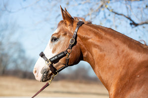 ThinLine Halster Bakstuk Beschermer
