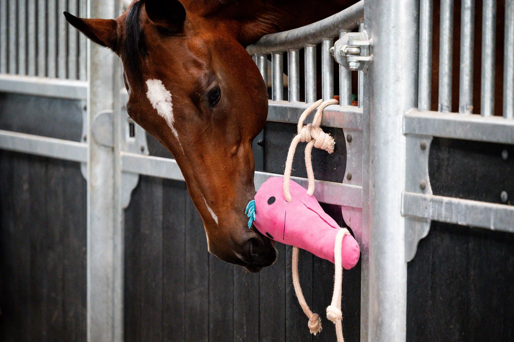 HB Showtime HorseToys Round Carrot