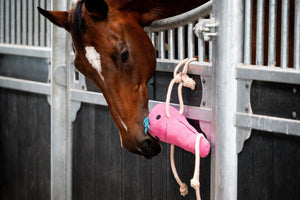 HB Showtime HorseToys Round Carrot