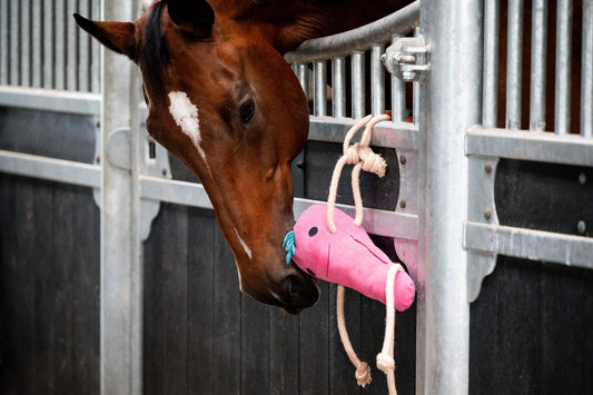 HB Showtime HorseToys Round Carrot