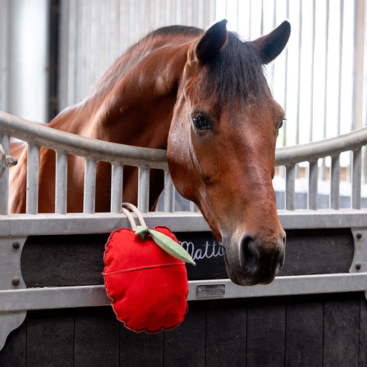 HB Showtime HorseToys Apple