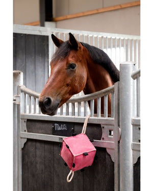 HB Showtime HorseToys Cube