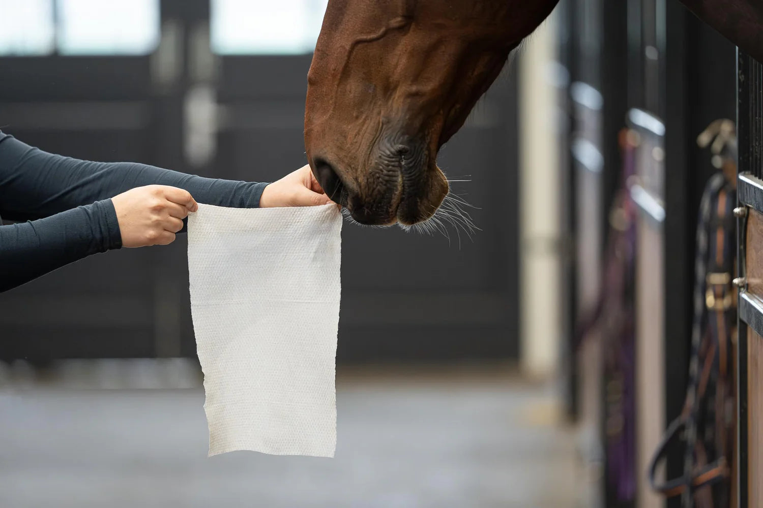 HorseWipes Natural Clean Doekjes