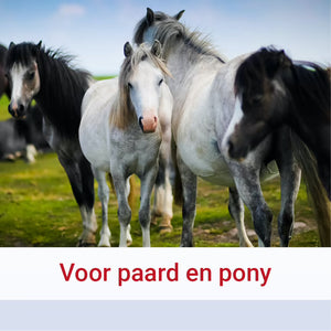 Pharmox Paard & Pony Glucosamine