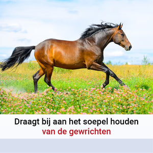 Pharmox Paard & Pony Glucosamine