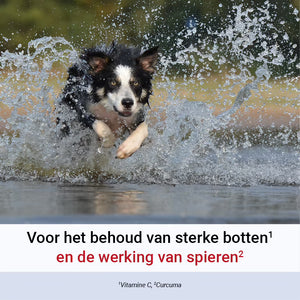 Pharmox Hond & Kat Groenlipmossel Complex Forte