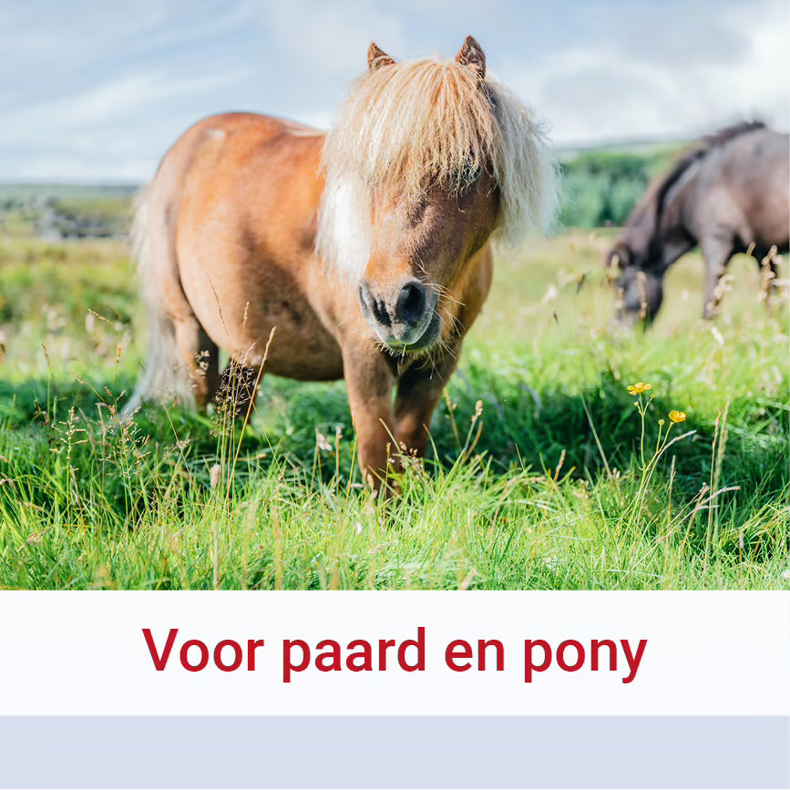 Pharmox Paard & Pony Magnesiumcitraat