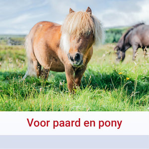 Pharmox Paard & Pony Magnesiumcitraat