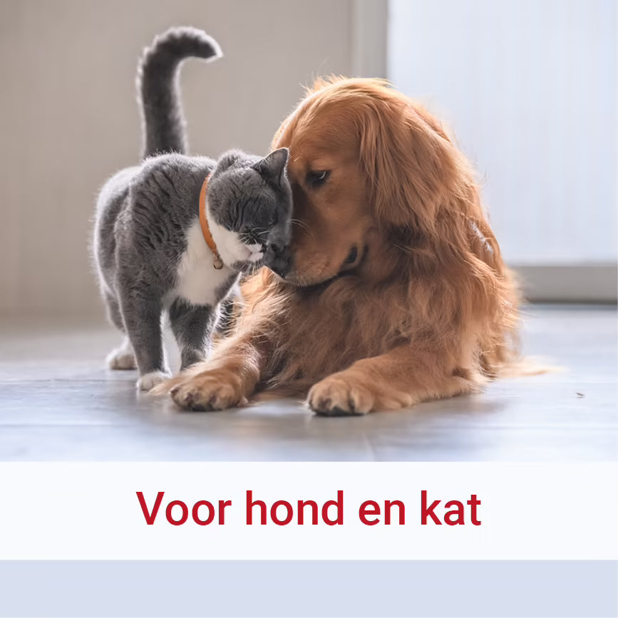Pharmox Hond & Kat PEA 100% Puur