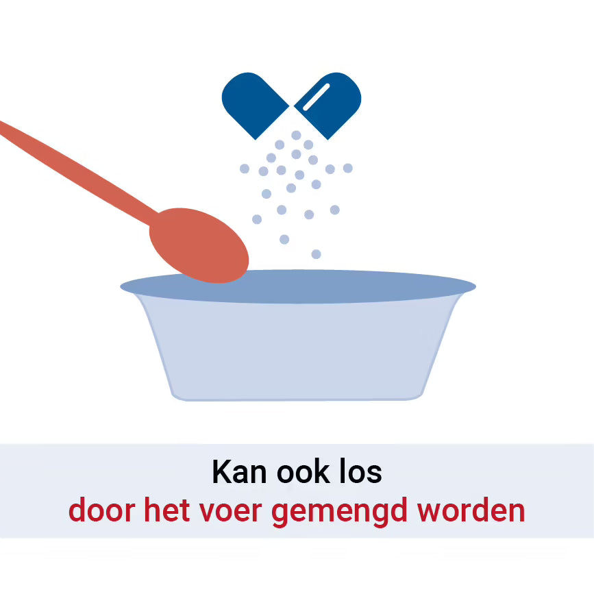 Pharmox Hond & Kat PEA 100% Puur