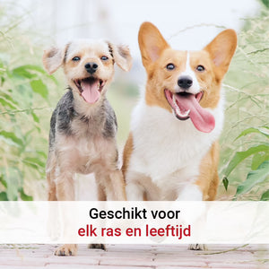 Pharmox Hond & Kat Zalmolie 100% Puur