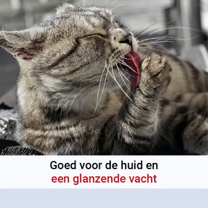 Pharmox Hond & Kat Zalmolie 100% Puur