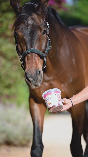 Candy Horse Hooves Honing & Framboos