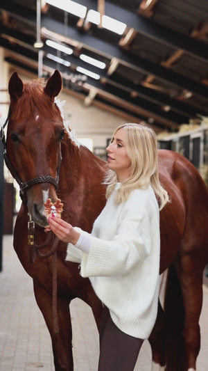 Candy Horse Christmas 2025 Cookie Reindier