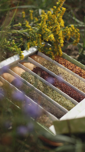 Candy Horse Kruiden Sticks