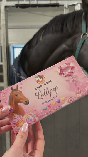 Candy Horse Valentine Lolly
