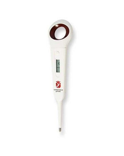 SafeHorse Thermometer