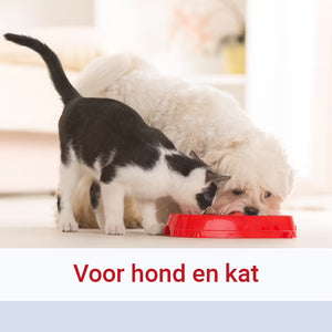Pharmox Hond & Kat Zalmolie 100% Puur
