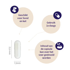 Pharmox Hond & Kat Probiotica