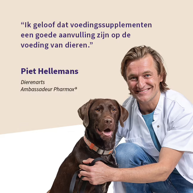 Pharmox Hond & Kat Probiotica